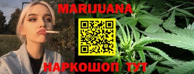индика Нальчик