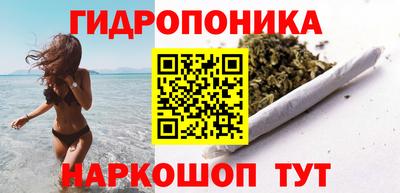 индика Нальчик